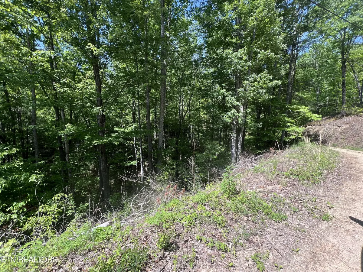 Sevierville, TN 37876,lot 55 Black Oak / lot 26 Butternut PL