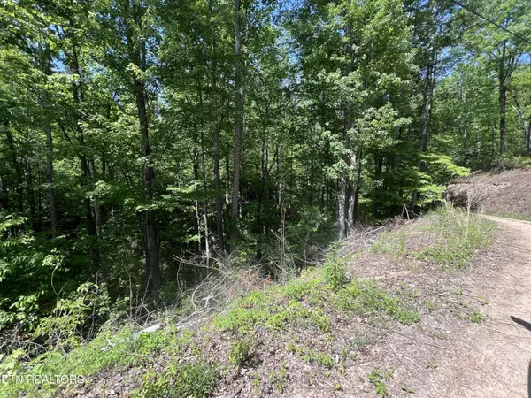 lot 55 Black Oak / lot 26 Butternut PL, Sevierville, TN 37876