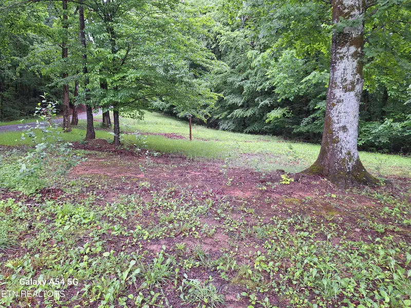 (Cloyds Creek ) Meadow Rd West, Greenback, TN 37742