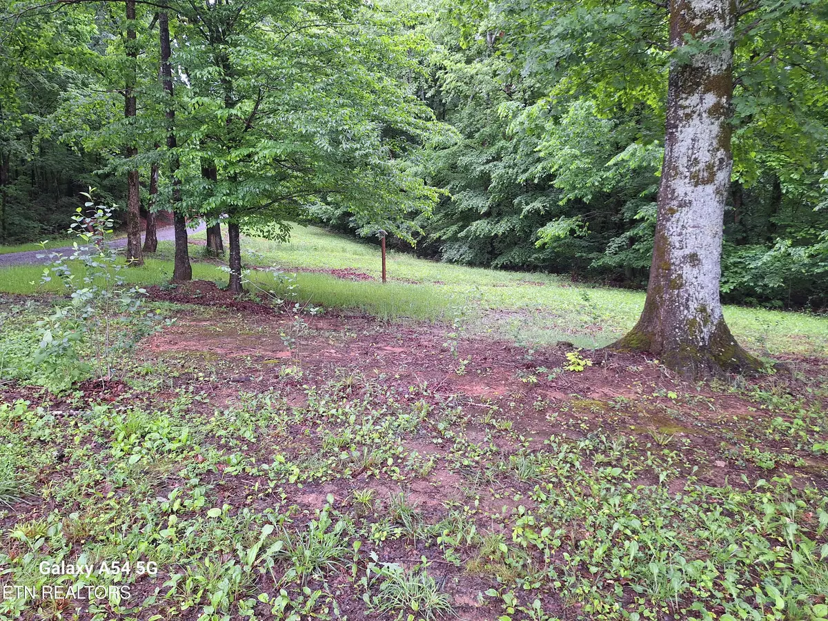 Greenback, TN 37742,(Cloyds Creek ) Meadow Rd West