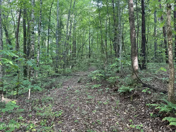 Tellico Plains, TN 37385,2 Acre - Unrestricted Land - Graves Rd