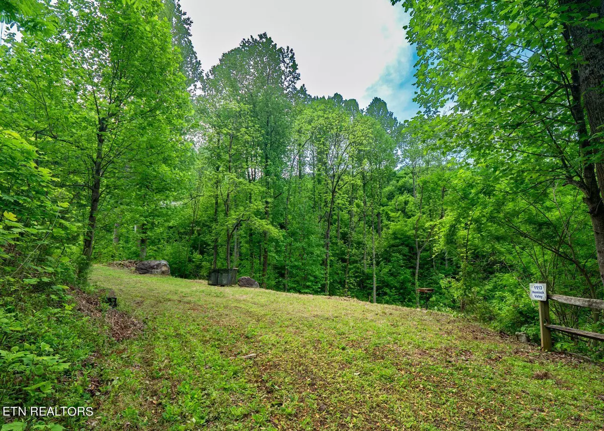 Gatlinburg, TN 37738,1113 Hemlock Hollow Rd