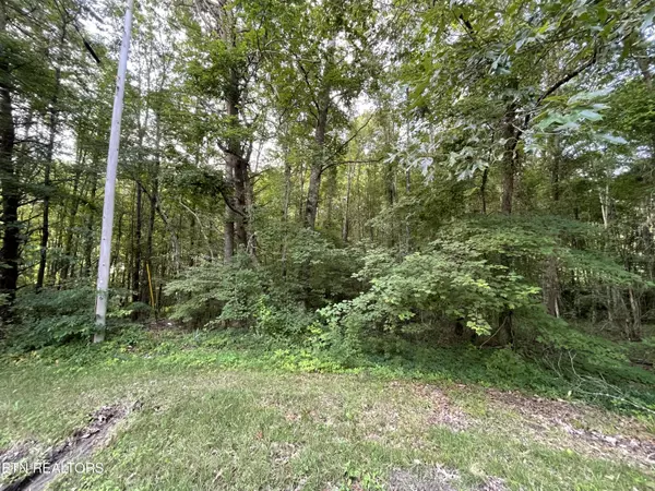 Crossville, TN 38558,25 Andover LN