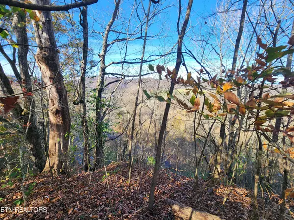 Pennington Gap, VA 24277,Shuler DR