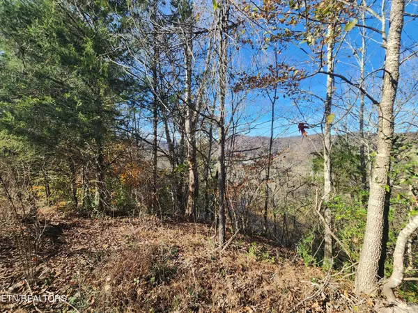 Pennington Gap, VA 24277,Shuler DR