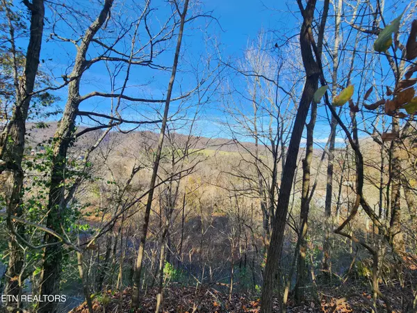 Pennington Gap, VA 24277,Shuler DR