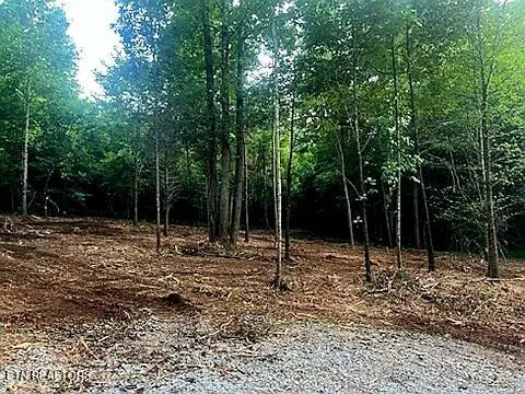 Loudon, TN 37774,Lot #4 Dry Valley