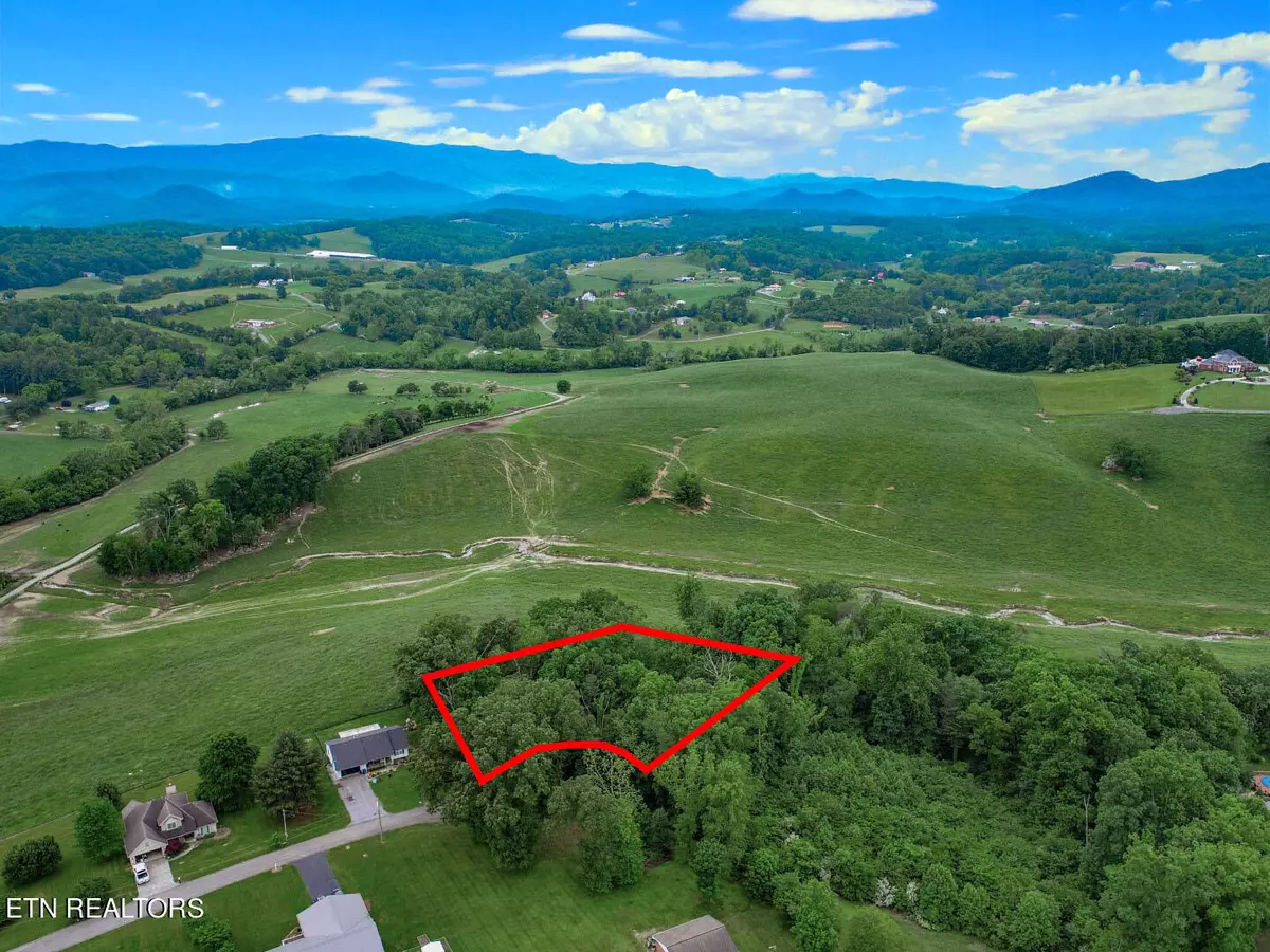 Newport, TN 37821,Lot 5 Rustic Dr