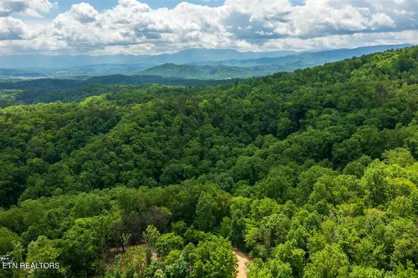 Sevierville, TN 37876,19 Ac High View Rd