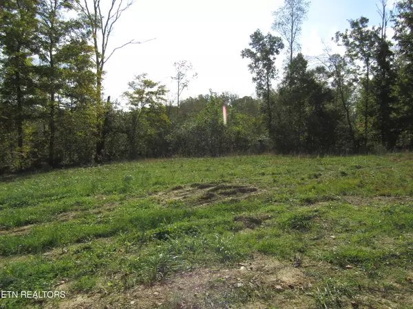 Celina, TN 38551,30.10ac Livingston Hwy