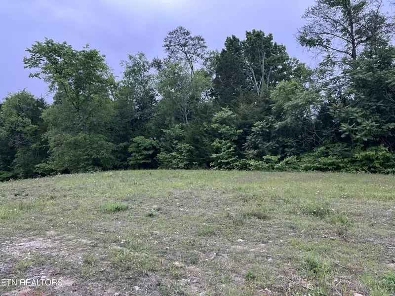 Lot 2 Clemon Rd, Bulls Gap, TN 37711