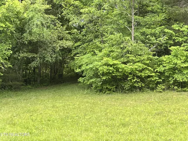 Bulls Gap, TN 37711,Lot 2 Clemon Rd