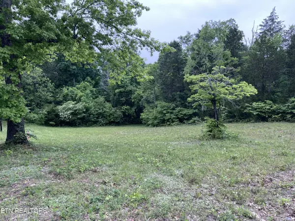 Bulls Gap, TN 37711,Lot 4 Clemon Rd