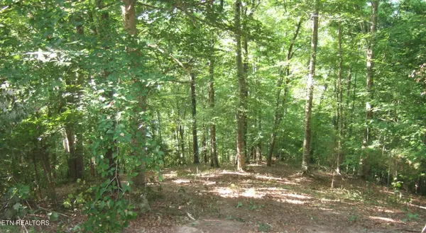 New Tazewell, TN 37825,Mountain Shores Lot 48 Rd