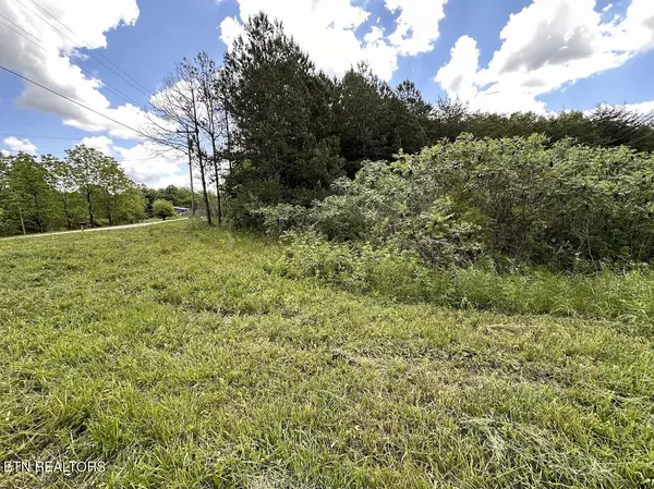 Jamestown, TN 38556,Lot 13 Leatherwood Ford Rd