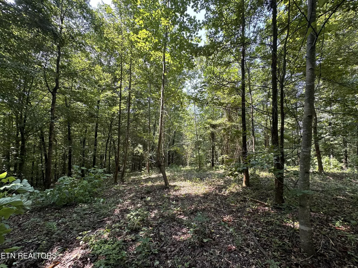 Byrdstown, TN 38549,12.55ac Winningham Rd