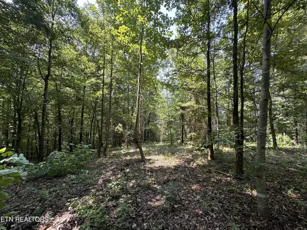 12.55ac Winningham Rd, Byrdstown, TN 38549