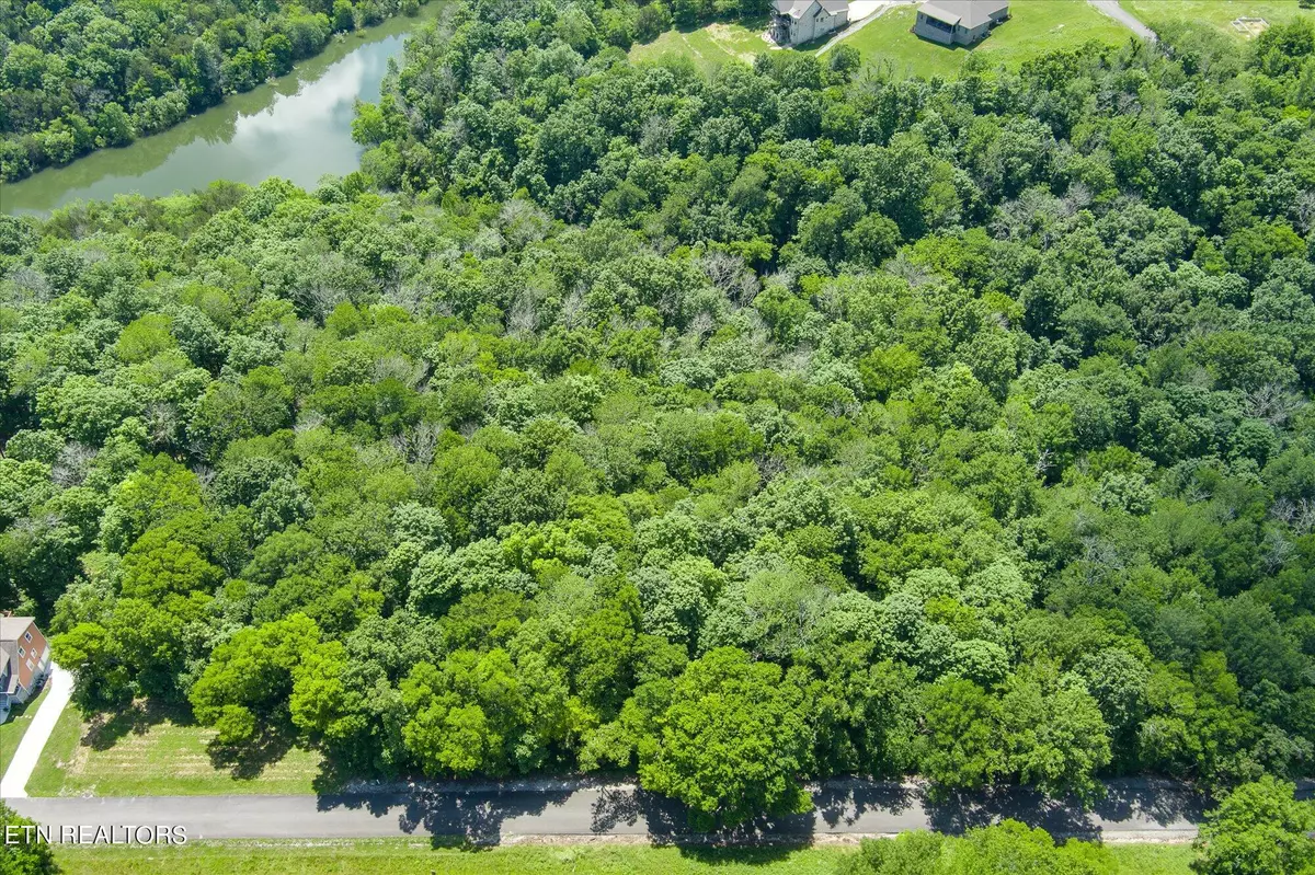 Smithville, TN 37166,0 Maury LN