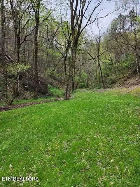 Sevierville, TN 37862,Hidden Hollow WAY