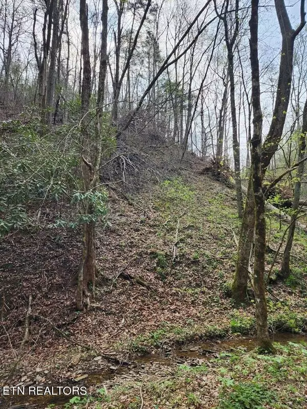 Sevierville, TN 37862,Hidden Hollow WAY