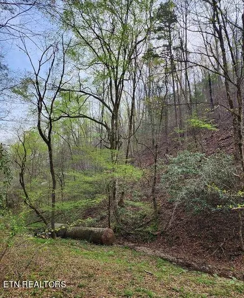 Sevierville, TN 37862,Hidden Hollow WAY