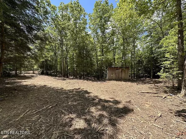 Jamestown, TN 38556,16.16ac Sarah Beth DR