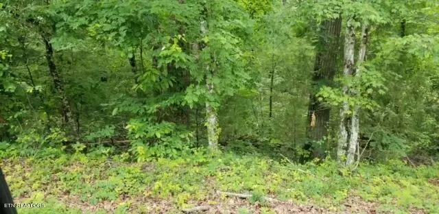 Spring City, TN 37381,Lot 137 Randall Fugate Rd