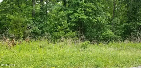 Lot 114 Randall Fugate Rd, Spring City, TN 37381