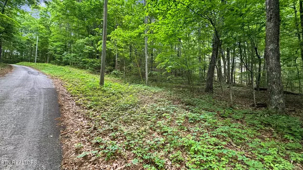 Maynardville, TN 37807,Lot 1 Graves Hollow Rd