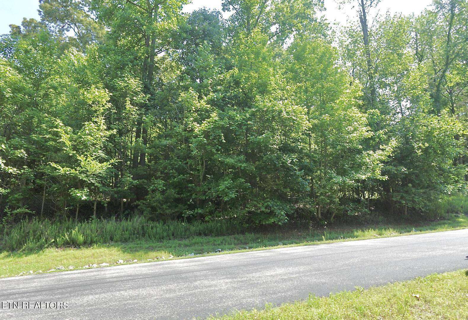 315 Eagle Ridge DR,  Rockwood,  TN 37854