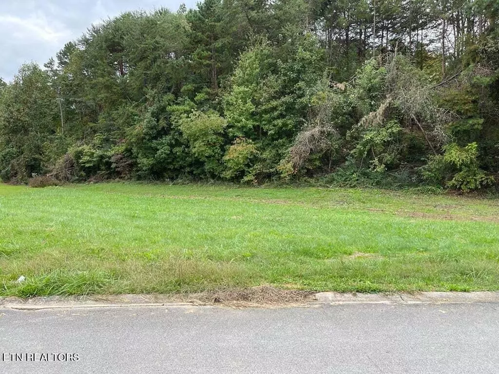 Sevierville, TN 37862,Lot 26 Sierra LN