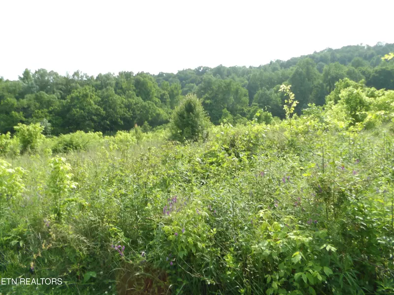 5.6 ac Lonnie Reecer Rd, Celina, TN 38551