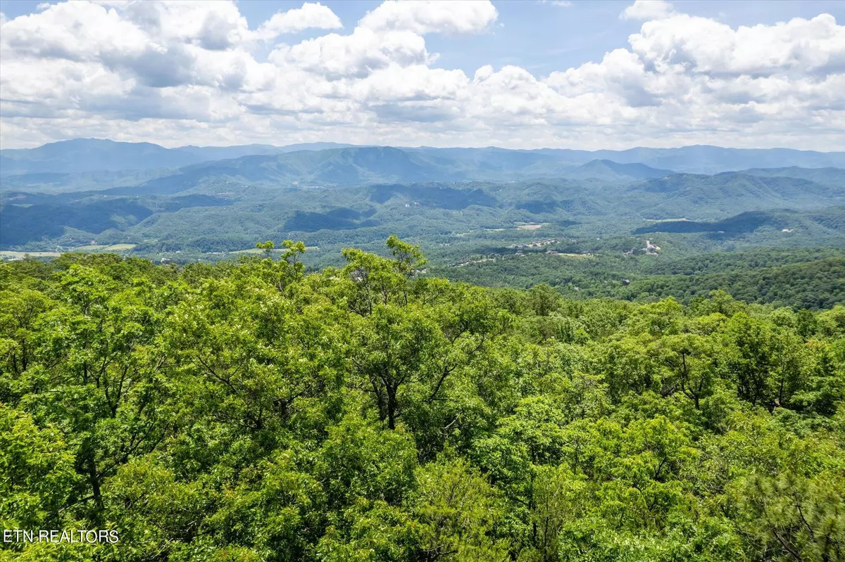 Sevierville, TN 37876,Lot 3 Tower Rd