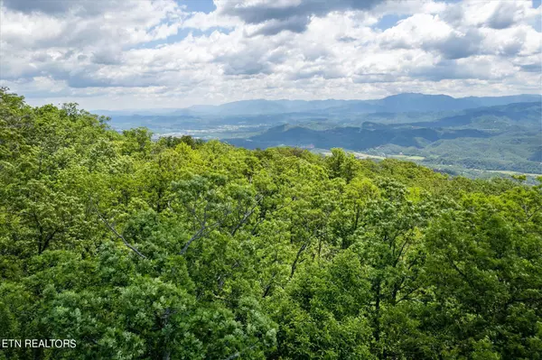 Sevierville, TN 37876,Lot 3 Tower Rd