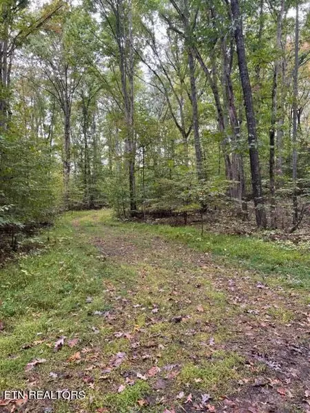 Lot 1205 & 1206 PL, Baneberry, TN 37890