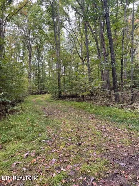 Baneberry, TN 37890,Lot 1205 & 1206 PL