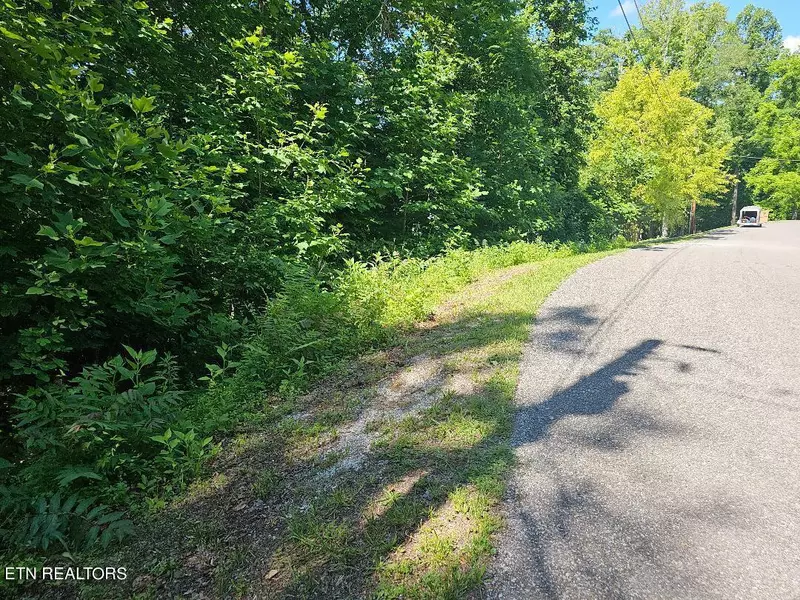 Cheri Lane Lot 63, Caryville, TN 37714