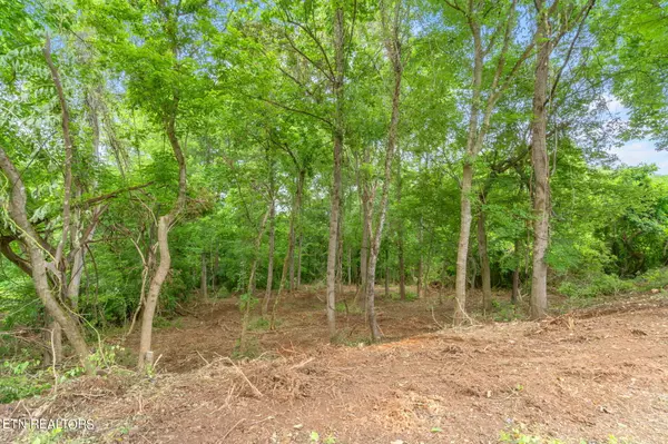 Clinton, TN 37716,Lot # 0051 Orchard Knob Rd