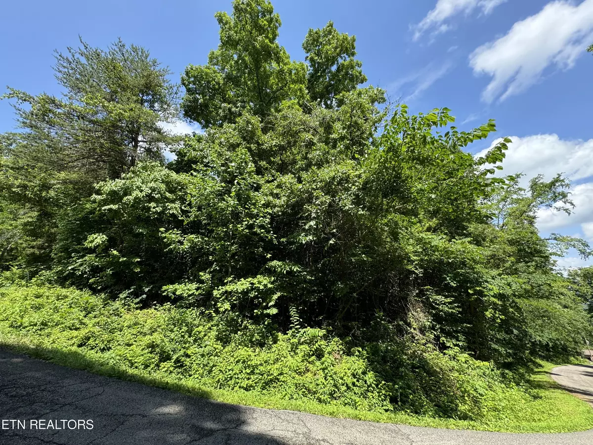 Lenoir City, TN 37771,254 Scenic Hill LN