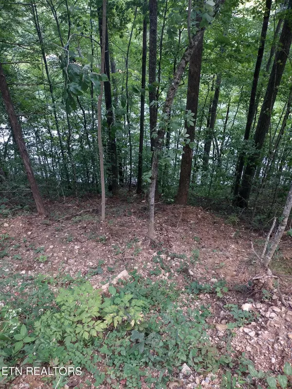 Maynardville, TN 37807,Lot 33 Jessee Rd