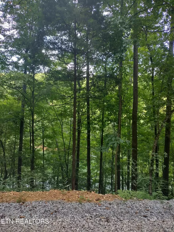 Lot 33 Jessee Rd, Maynardville, TN 37807