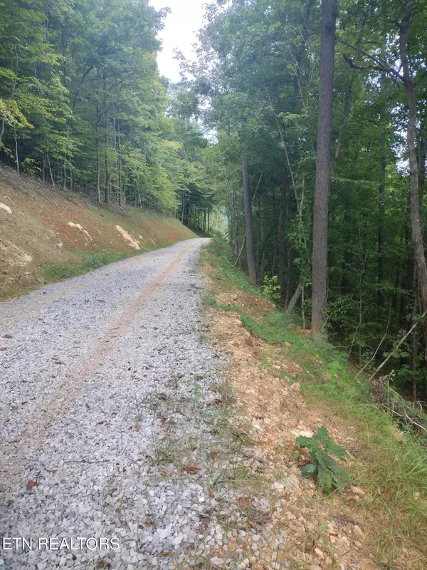 Maynardville, TN 37807,Lot 33 Jessee Rd