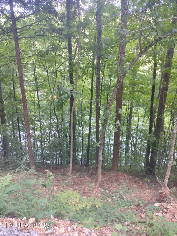 Maynardville, TN 37807,Lot 33 Jessee Rd