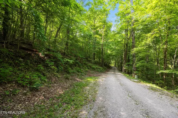 Caryville, TN 37714,Lots 1 & 2 Shorewod LN