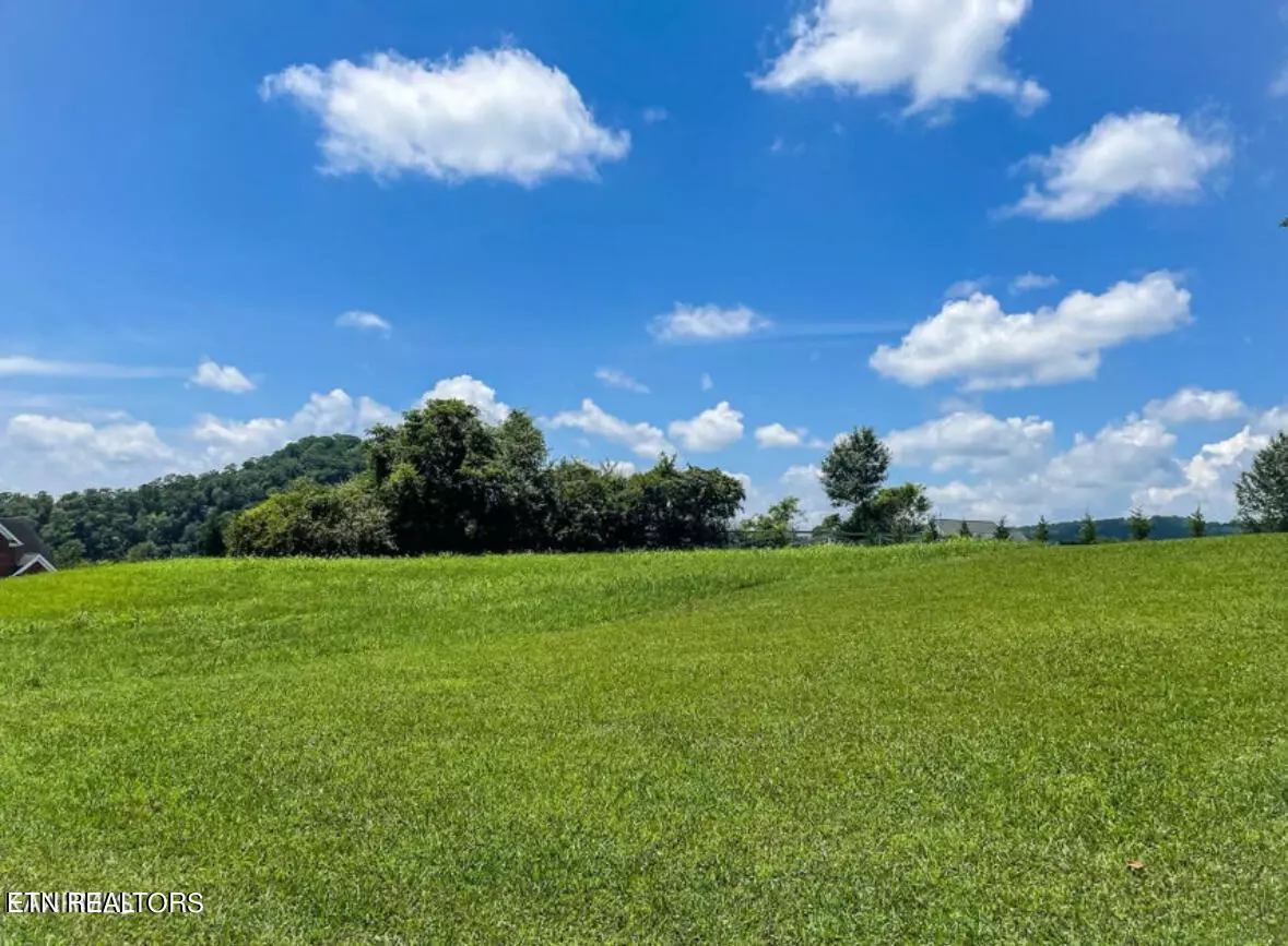 Clinton, TN 37716,Whirlwind Point Lot#17 LN