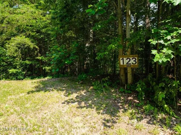 Walland, TN 37886,Long Rifle Rd