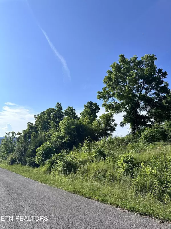 Lot 335A Larayne Hollow Rd, Sharps Chapel, TN 37866