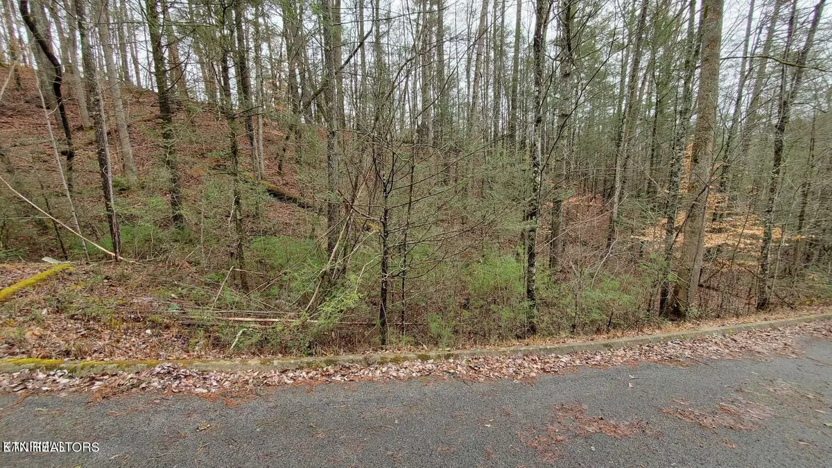 Sevierville, TN 37876,Lot 11 Peace LN