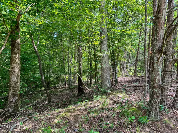 Rockwood, TN 37854,LOT 321 Bluegreen Way