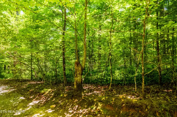 Tallassee, TN 37878,Lot 11 Bobcat Tr